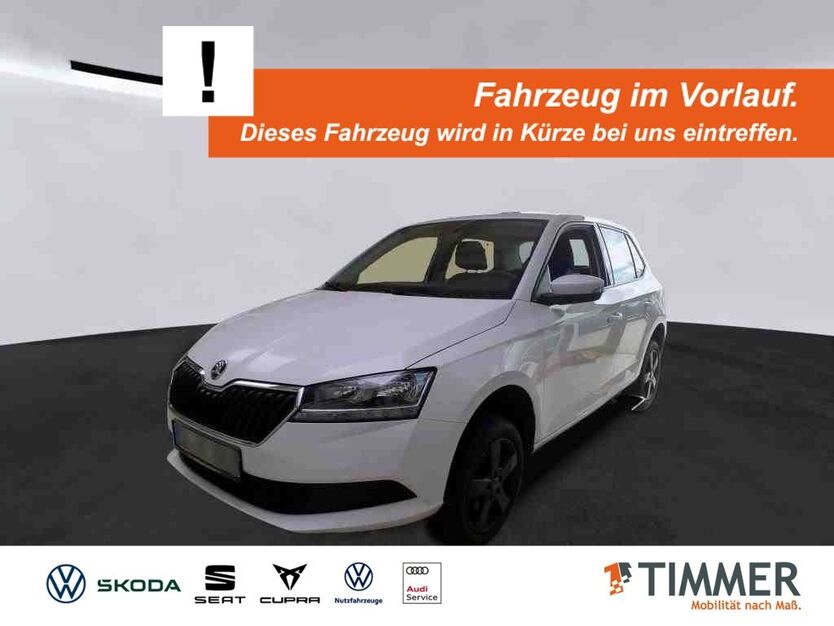 Skoda Fabia 46.276 km 15.950 € Lingen 49808