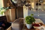 Einfamilienhaus Naumburg (Saale) - 6 Zimmer, 200 m&sup2;, 450.000&euro; | Angebot:26495489