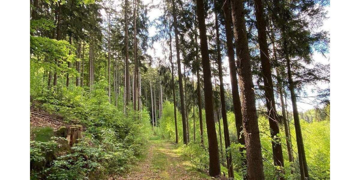 Grundstück Flossenbürg - 170.000&euro; | Angebot:26036735