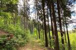 Grundstück Flossenbürg - 170.000&euro; | Angebot:26036735
