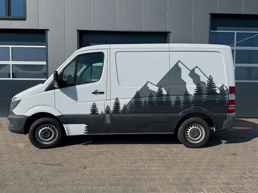 Sprinter