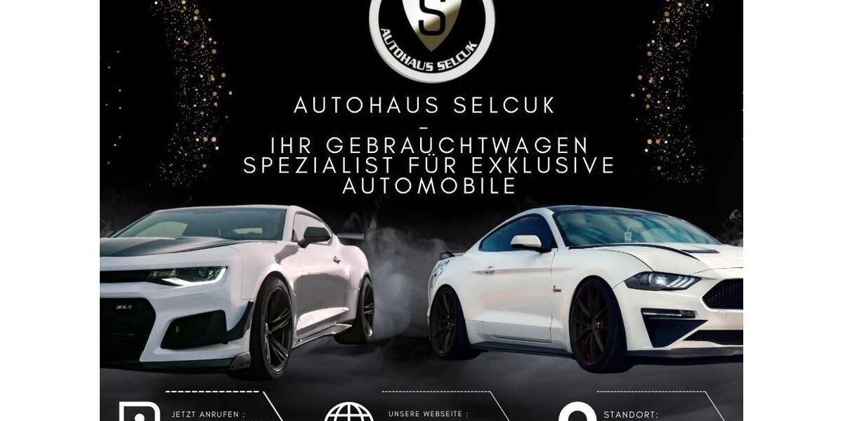 Polestar 2 119.000 km 21.990 &euro; Fürth (bei Nürnberg) 90768