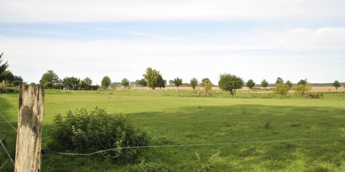 Marlow-OT, Reitanlage + Blockhütten in Ostseenähe - Anlageobjekt Marlow Allerstorf | Angebot:12287822