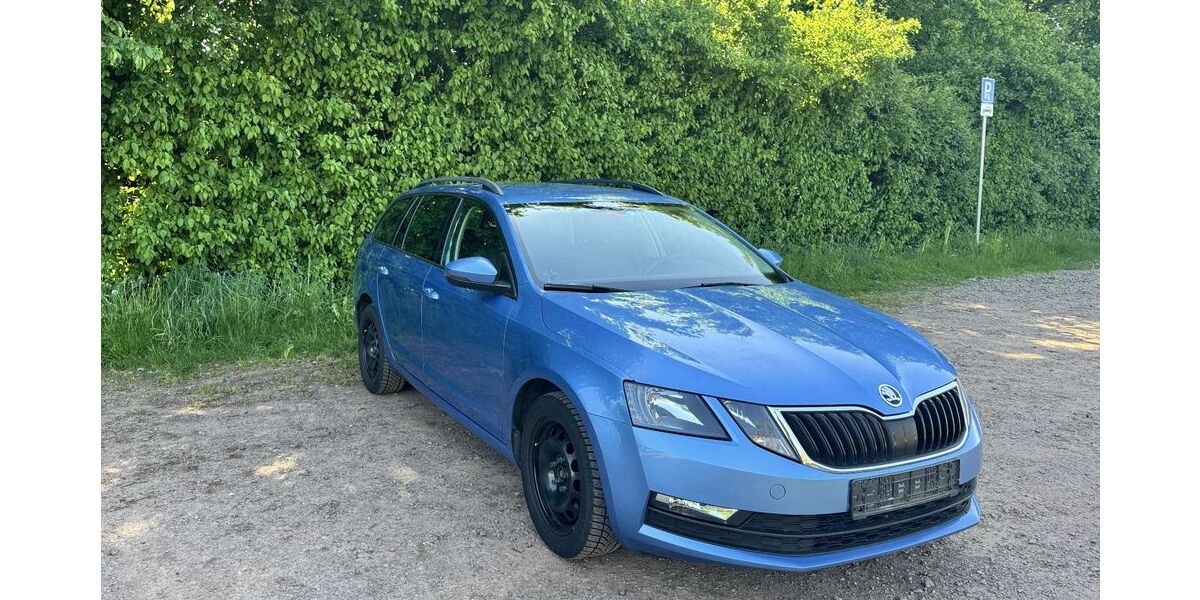 Skoda Octavia 194.000 km 14.500 &euro; Emmendingen 79312