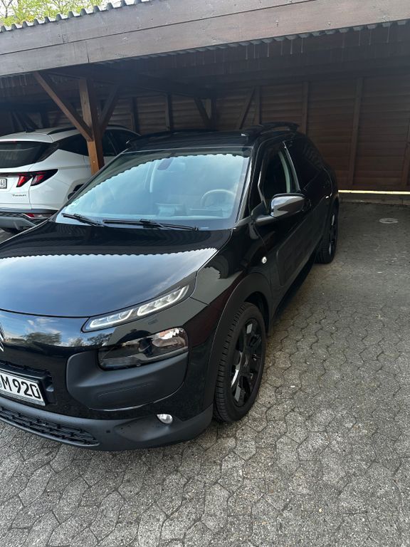 C4 Cactus