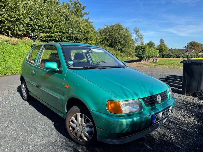 Polo