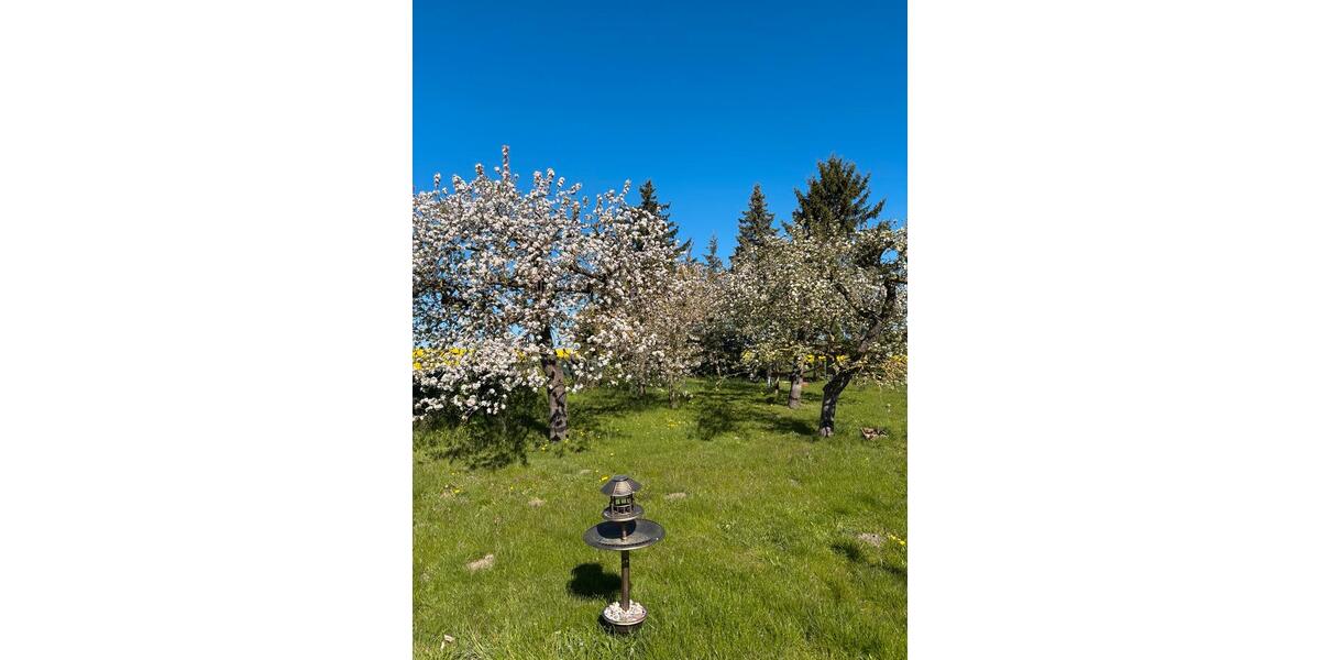 Einfamilienhaus Lalendorf - 5 Zimmer, 140 m&sup2;, 279.000&euro; | Angebot:26572613