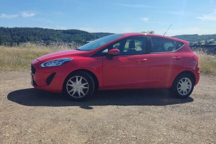 Ford Fiesta 124.243 km 6.300 &euro; Mittenaar 35756