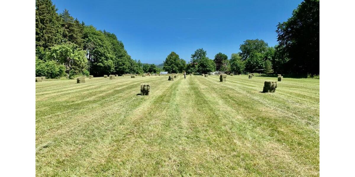 Bauernhaus, Landhaus Bad Münstereifel - 11 Zimmer, 390 m&sup2;, 975.000&euro; | Angebot:27143642