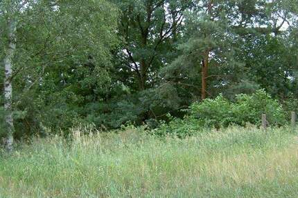 Grundstück Senftenberg - 299.000&euro; | Angebot:25669700