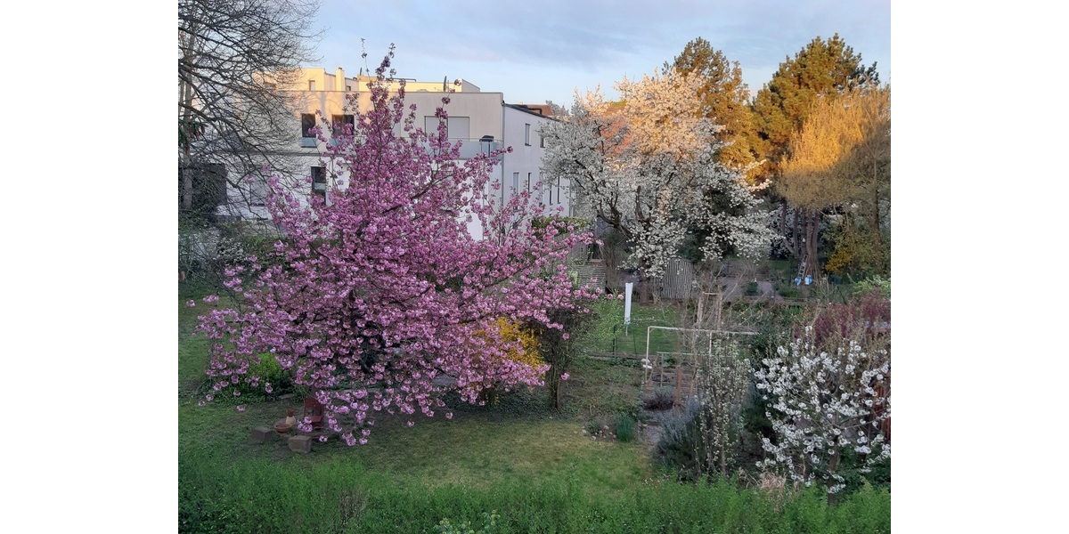 Exklusive Eigentumswohnung mit Gartenanteil und Loggien 5 zimmer
