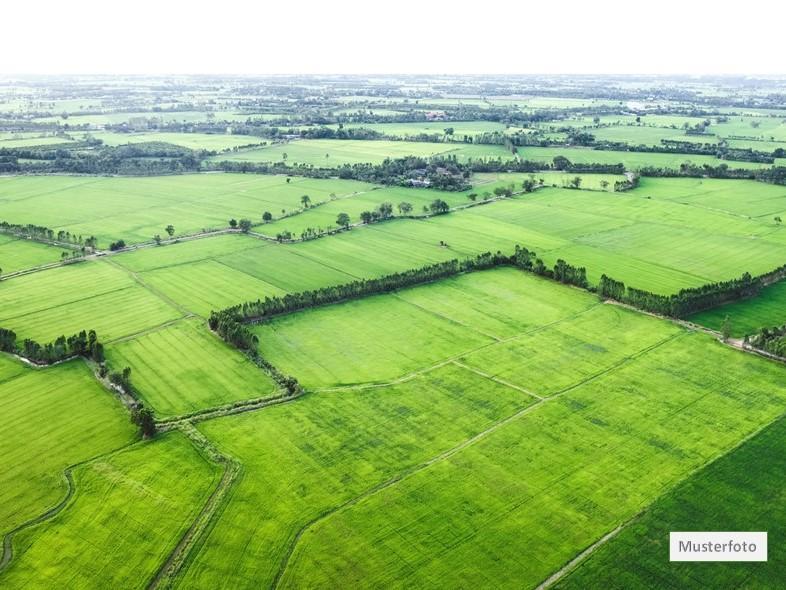 Land- Forstwirtschaft in 76857 Waldrohrbach Provisionsfrei - schnell sein!
