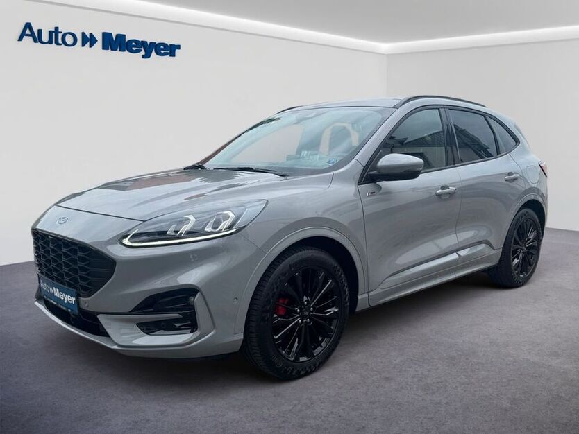 Kuga
