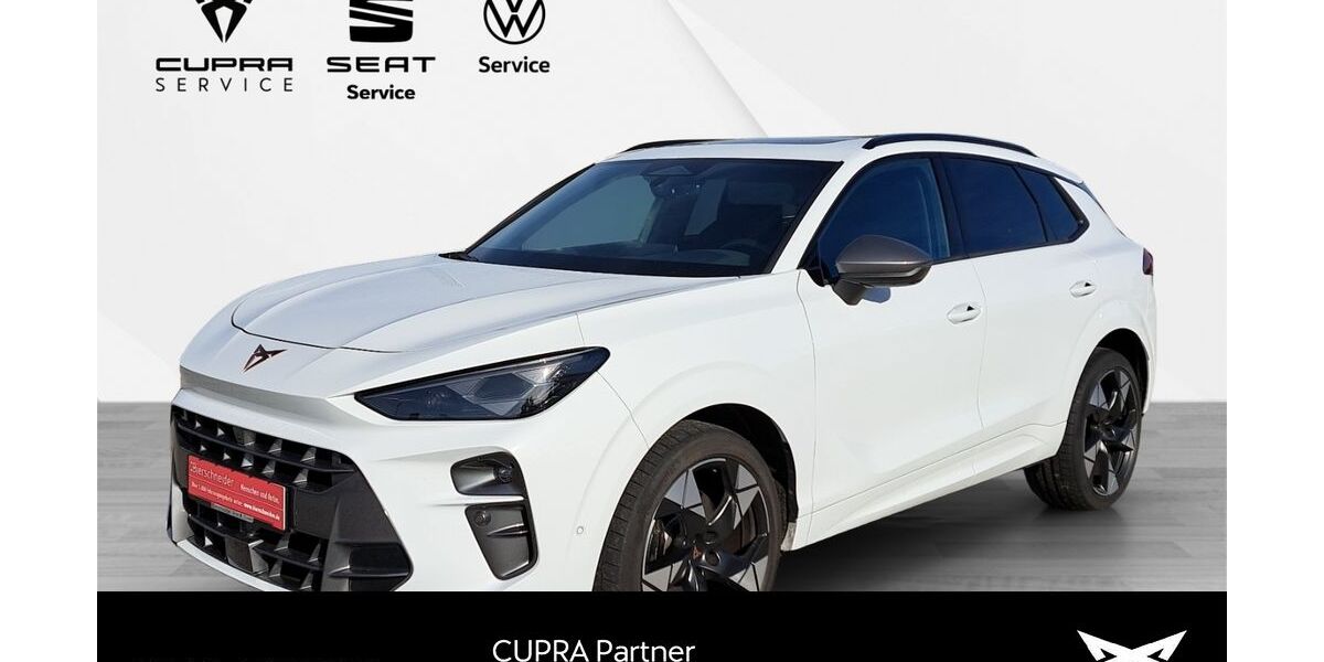 Cupra Terramar 25.990 km 41.750 &euro; Gunzenhausen 91710