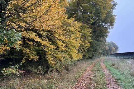 Grundstück Westheim - 100.202&euro; | Angebot:23261402