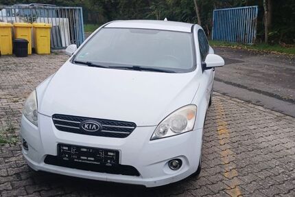 Kia ceed / Ceed 311.355 km 600 &euro; Frankfurt am Main 65933