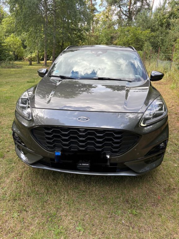 Kuga