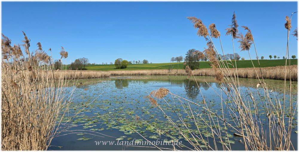 Mehrfamilienhaus, Wohnhaus Dinkelsbühl Reichertsmühle - 4 Zimmer, 498.000&euro; | Angebot:26320565