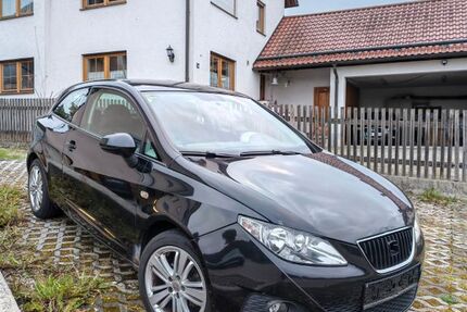 Seat Ibiza 262.267 km 1.000 &euro; Egenhofen 82281