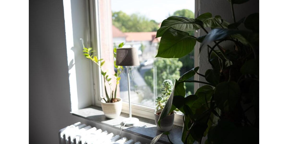 Gewerbeobjekt Ober-Mörlen Mörlen - 20&euro; | Angebot:24913513