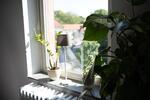 Gewerbeobjekt Ober-Mörlen Mörlen - 20&euro; | Angebot:24913513