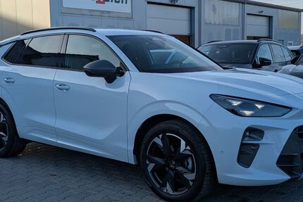 Cupra Terramar 14.957 km 32.450 &euro; Burghaun 36151