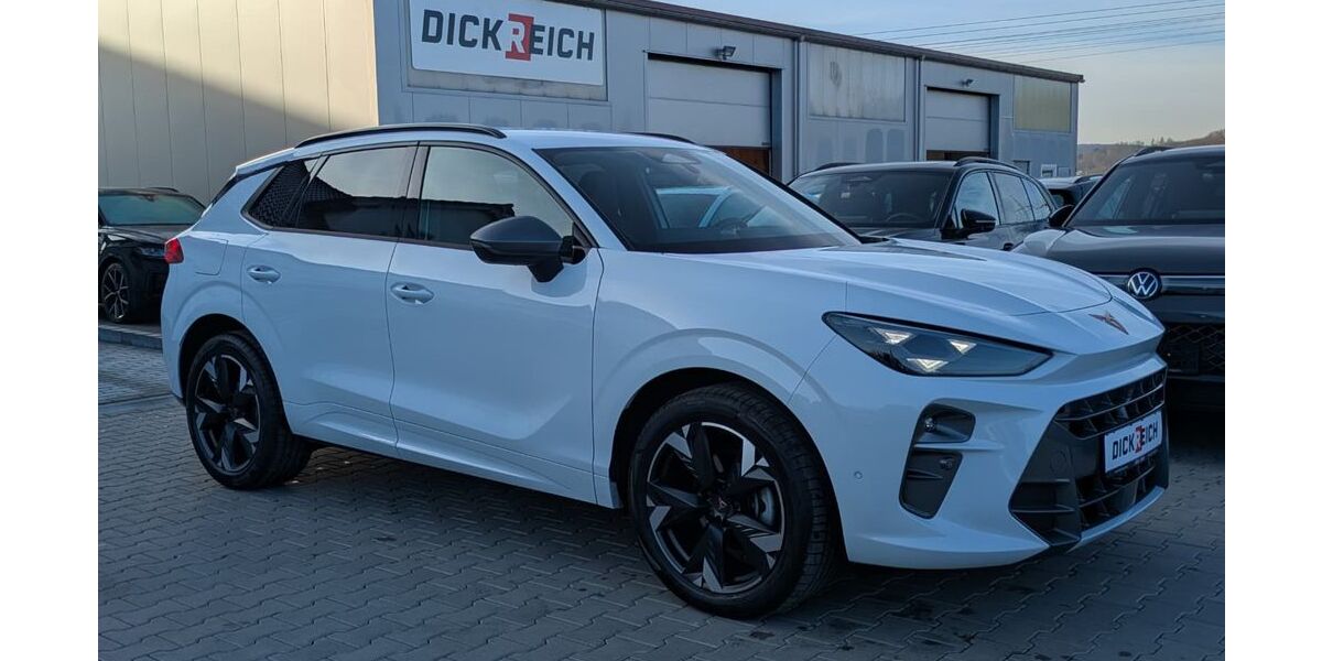 Cupra Terramar 14.957 km 32.450 &euro; Burghaun 36151