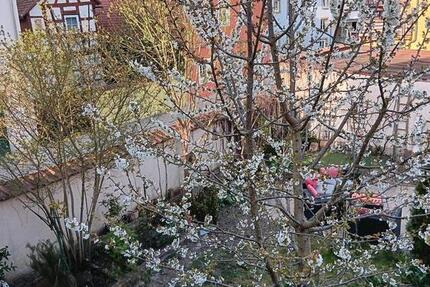 Haus Bad Windsheim - 450.000&euro; | Angebot:26235332