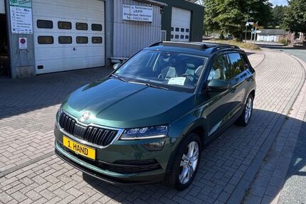 Skoda Karoq 136.511 km 19.450 &euro; Nehmten 24326