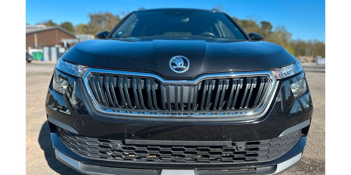 Skoda Kamiq 133.000 km 16.999 &euro; Blankenfelde-Mahlow 15831