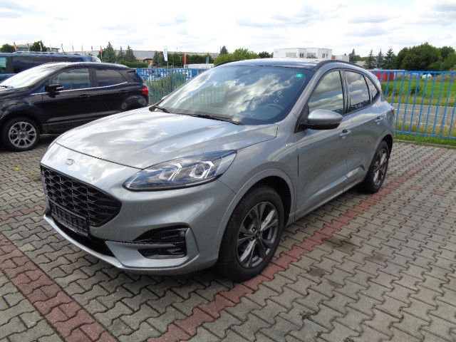Kuga