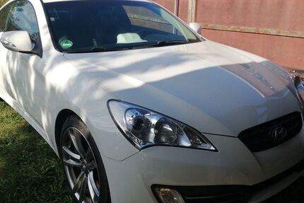 Hyundai Genesis 19.050 km 19.890 &euro; Werben 39615