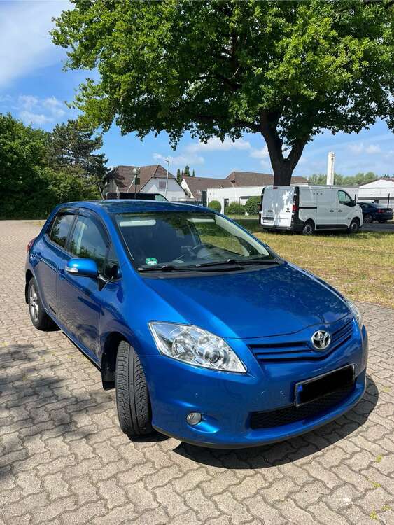 Auris