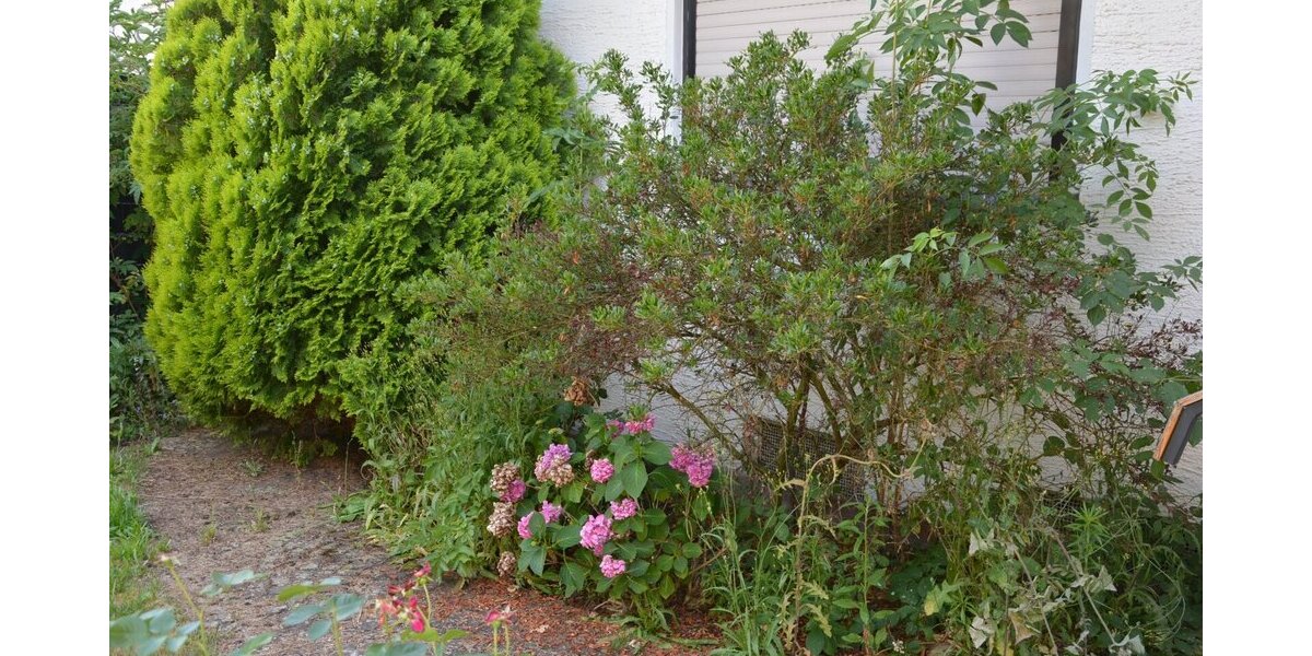 Neu in unserem Immobilienteam Familienhaus in ruhiger Lage - Einfamilienhaus Germersheim Germersheim | Angebot:26904558