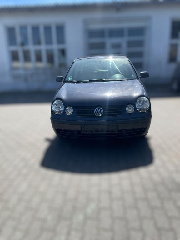 Polo
