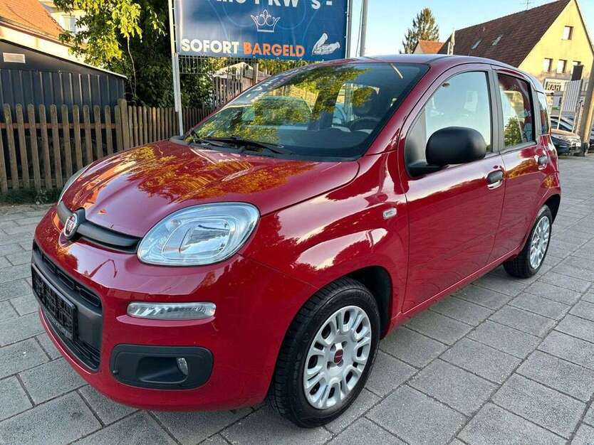 Panda