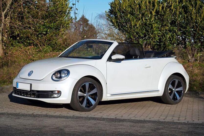 Beetle