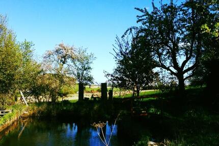 Hof-Wohngemeinschaft im Grünen – 3 gleich große Zi, ca.180 qm 5 zimmer