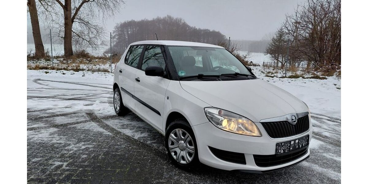 Skoda Fabia 124.000 km 4.600 &euro; Stralsund 18435
