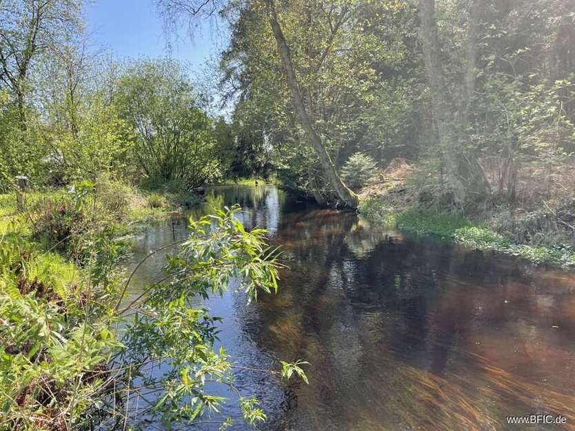 Gastronomie in Gotha 2.300.000 € 500 m²