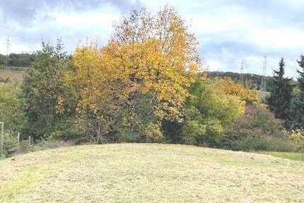 Grundstück Eppstein - 329.500&euro; | Angebot:26319374