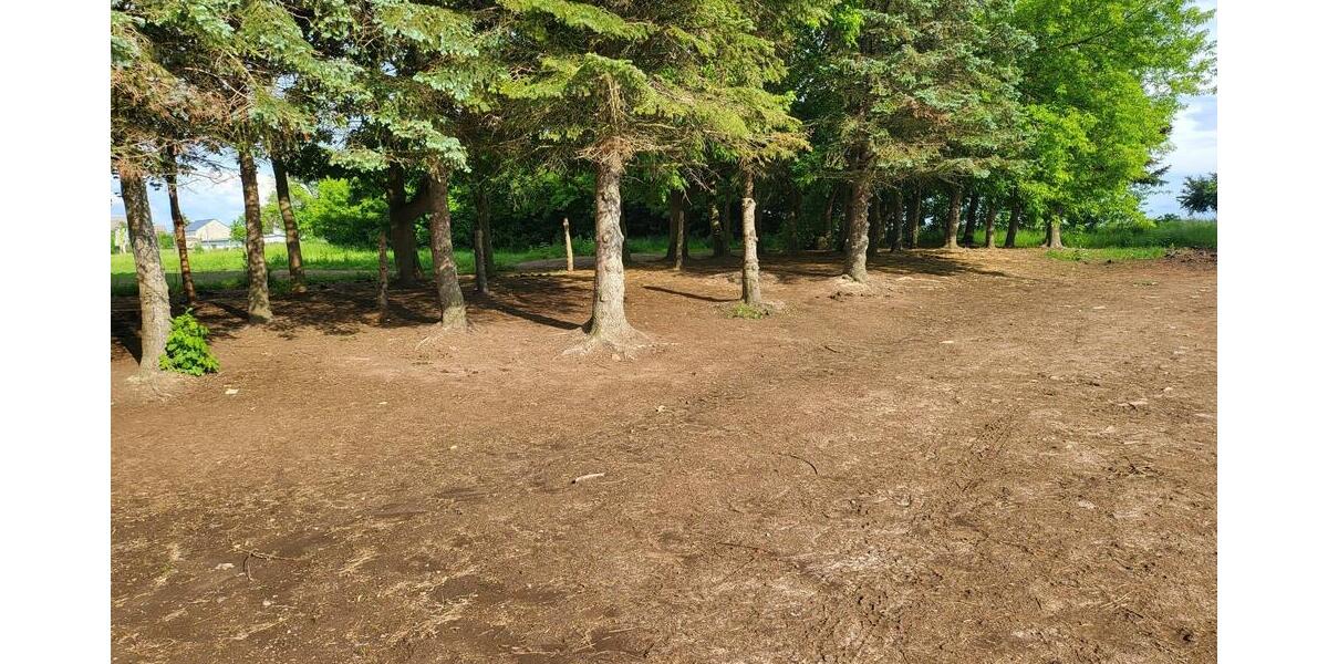 Pferdestallanlage mit Weideflächen in Kriebstein OT Ehrenberg zur Pacht! - Gewerbeobjekt Kriebstein Ehrenberg | Angebot:27180204