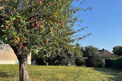 ++ AKTUELL KFW-FÖRDERUNGEN MÖGLICH ++ Tolles Baugrundstück - Nur 30 Kilometer östlich vom Berliner Stadtzentrum gelegen! zimmer