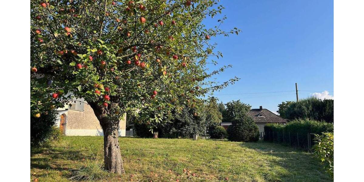 ++ AKTUELL KFW-FÖRDERUNGEN MÖGLICH ++ Tolles Baugrundstück - Nur 30 Kilometer östlich vom Berliner Stadtzentrum gelegen! zimmer