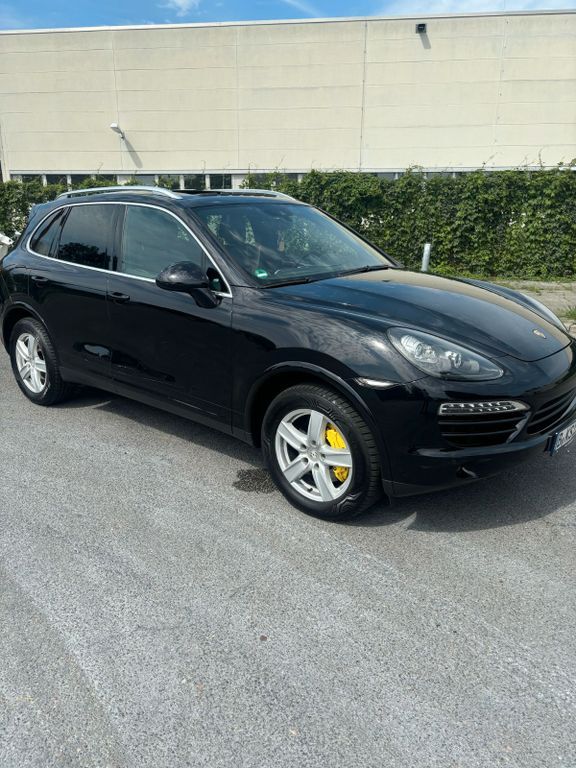 Cayenne