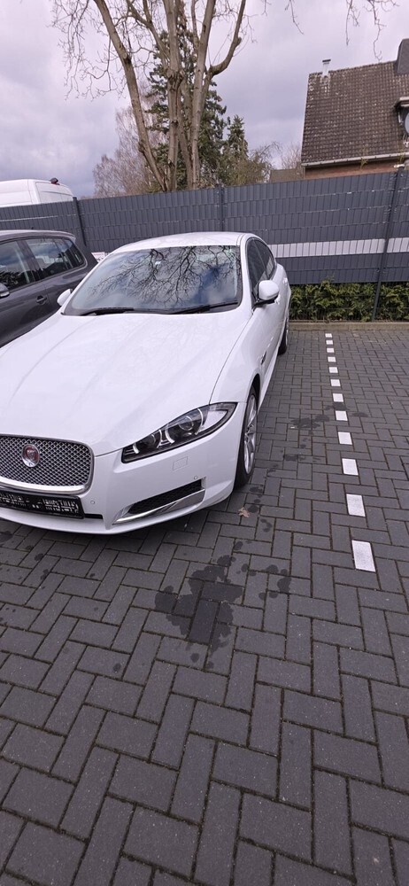 XF