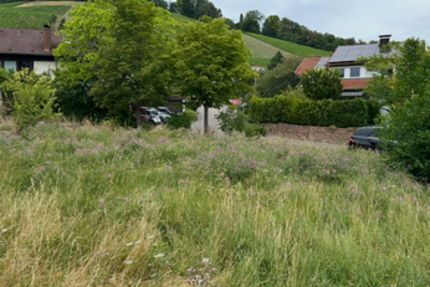 Grundstück zu verkaufen in Beilstein 310.000 € 544 m² zimmer