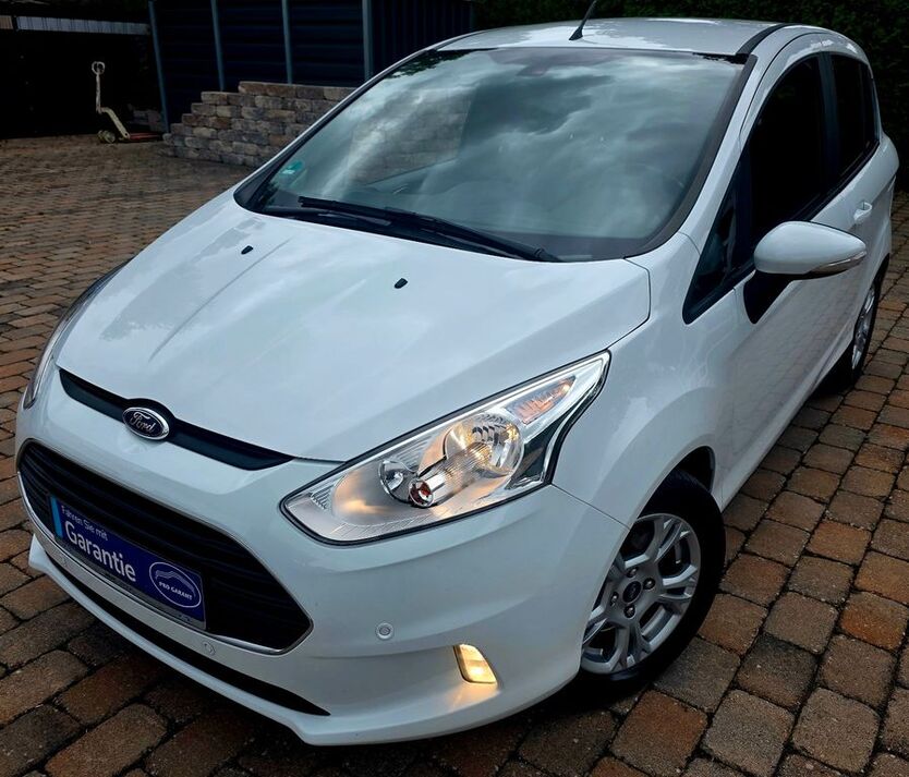 B-Max