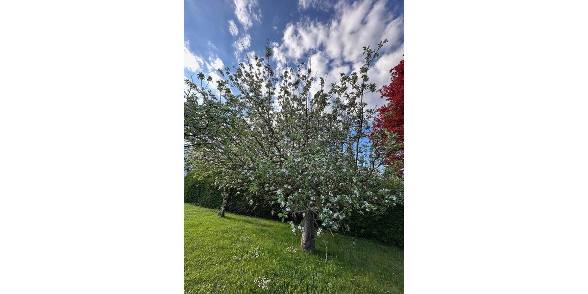 Etagenwohnung Waidhaus - 5 Zimmer, 90 m&sup2;, 580&euro; | Angebot:24153663