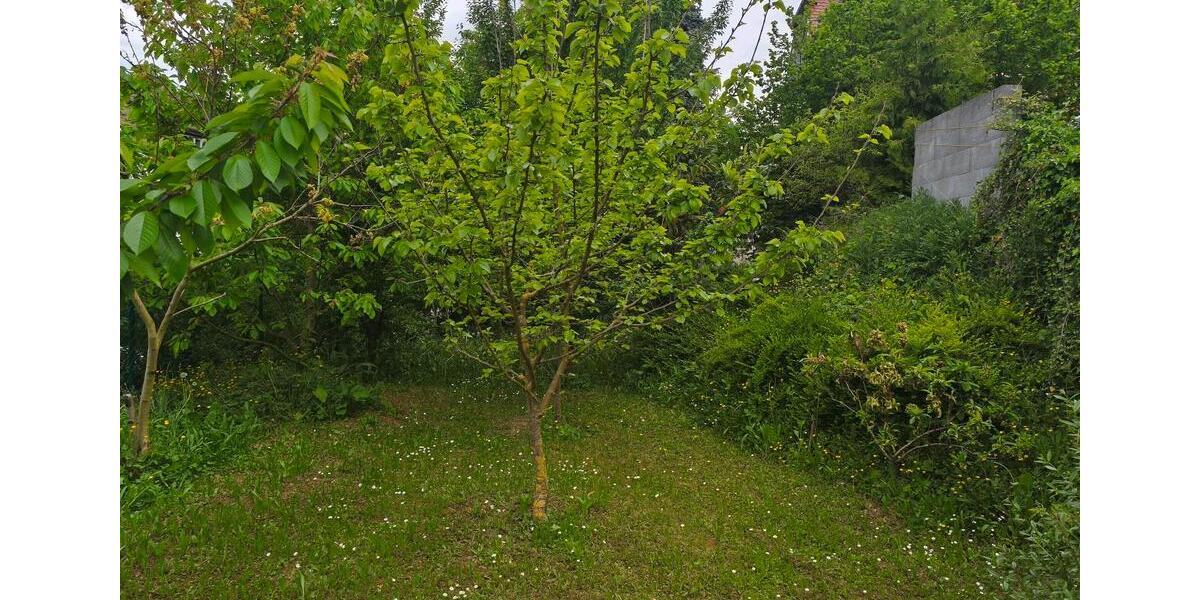 Mehrfamilienhaus, Wohnhaus Lörrach - 11 Zimmer, 300 m&sup2;, 1.970.000&euro; | Angebot:26414823